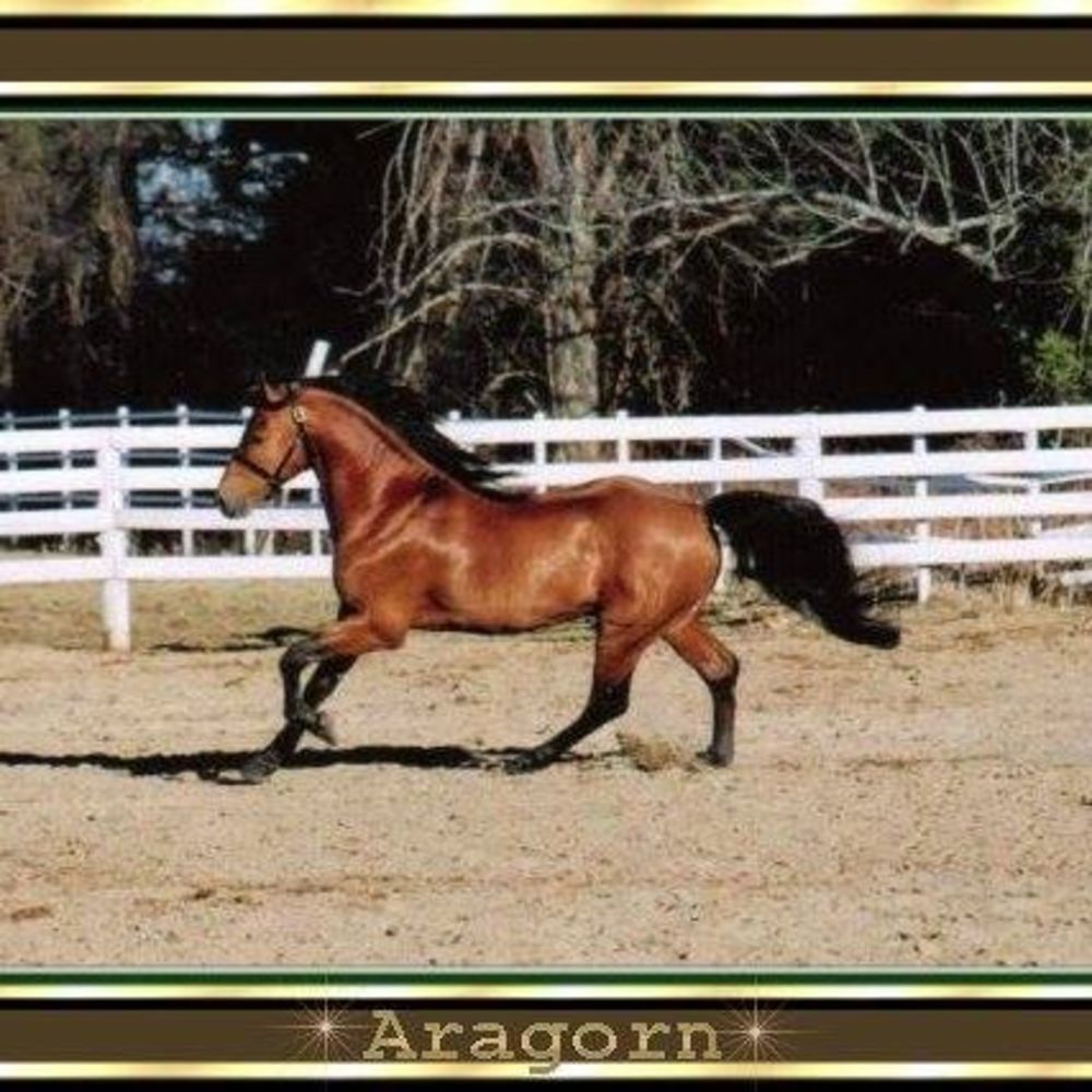 Meet your Posher, Mireille